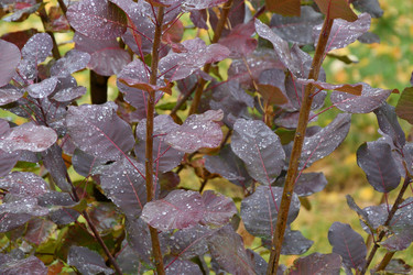 Similar image 21034186