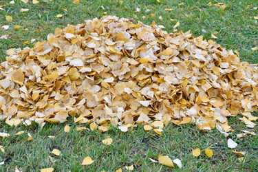 Similar image 21035283