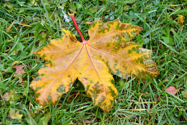 Similar image 21038711