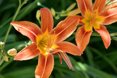 Similar image 21034188