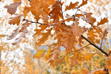 Similar image 21038717