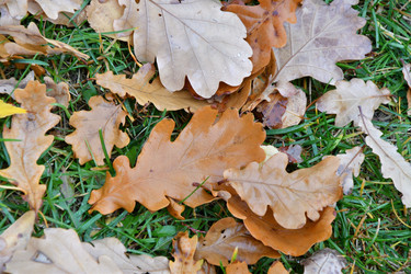 Similar image 21038719