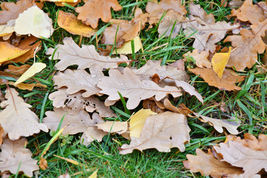 Similar image 21038720