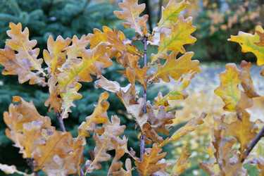 Similar image 21038721