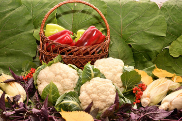 Similar image 21034199