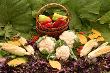 Similar image 21038722