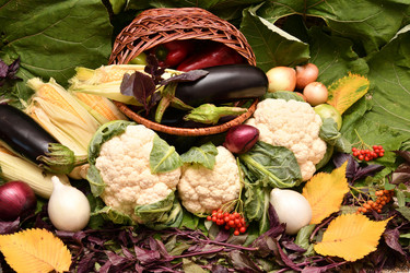 Similar image 21038723