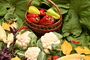 Similar image 21038724