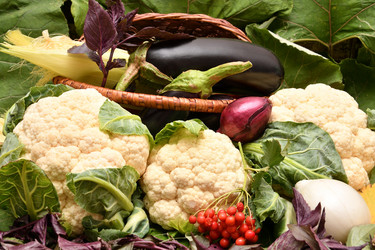 Similar image 21038725