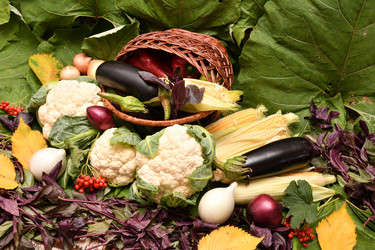 Similar image 21038726