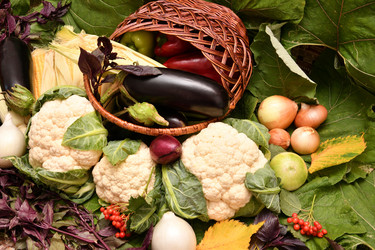 Similar image 21038727