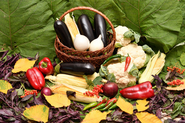 Similar image 21038728