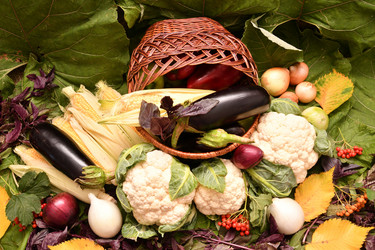 Similar image 21038729