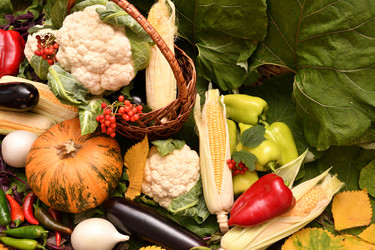 Similar image 21038734