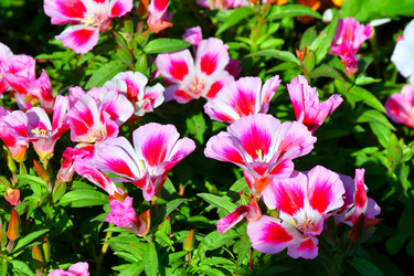 Similar image 21038737