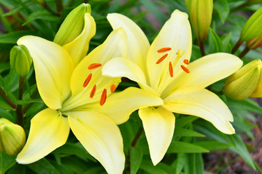 Similar image 21038739