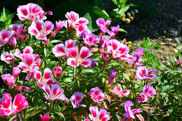 Similar image 21038740