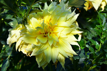 Similar image 21034296