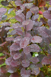 Similar image 21034311