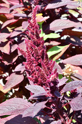 Similar image 21034189