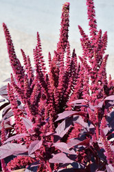 Similar image 21035171