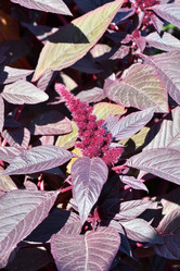 Similar image 21035172