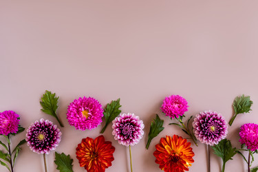 Similar image 21021187