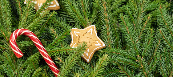 Similar image 21021200