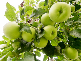 Similar image 21021203