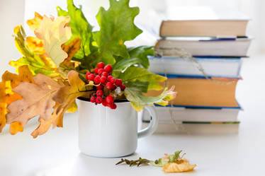 Similar image 21021204