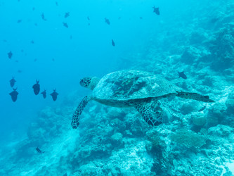 Similar image 21021205