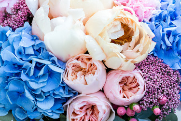 Similar image 21021206