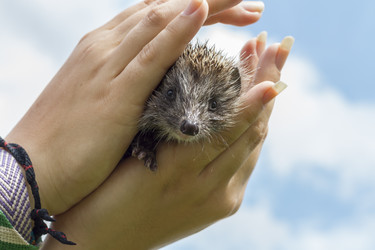 Similar image 21021210