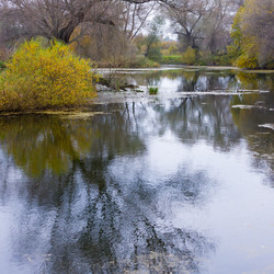 Similar image 21021216