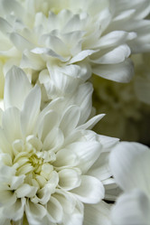 Similar image 21021218