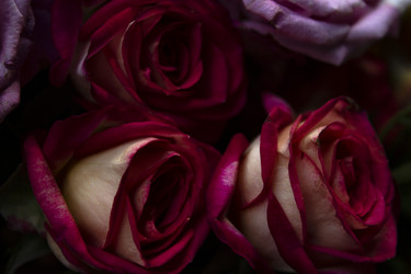 Similar image 21021219