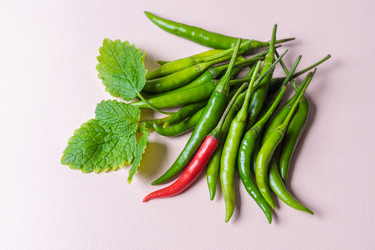 Similar image 21028492