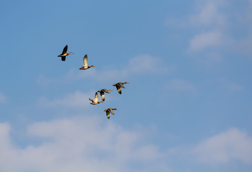 Similar image 21027933