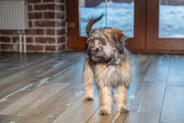 Similar image 21028059