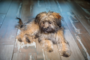 Similar image 21028061