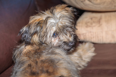 Similar image 21028063