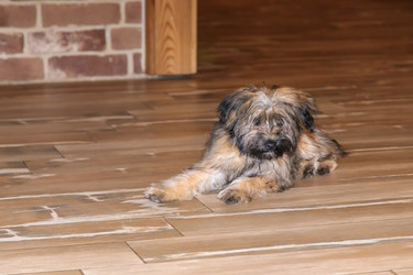 Similar image 21028065