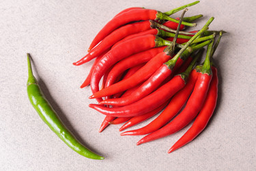 Similar image 21028081