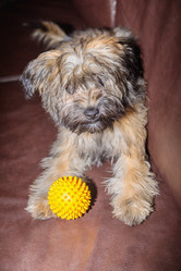 Similar image 21028196