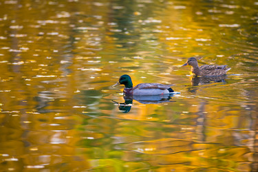 Similar image 21028198