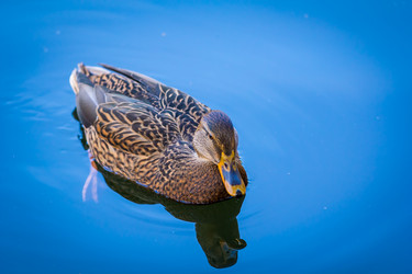 Similar image 21028200