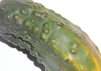 Similar image 21021085