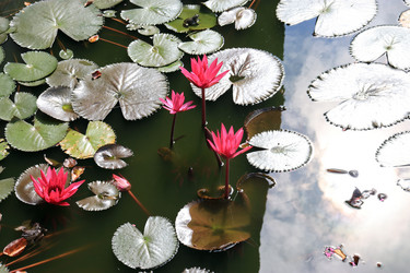 Similar image 21021086