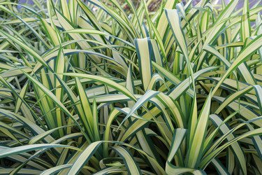 Similar image 21021087