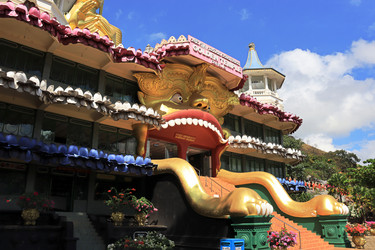 Similar image 21021088